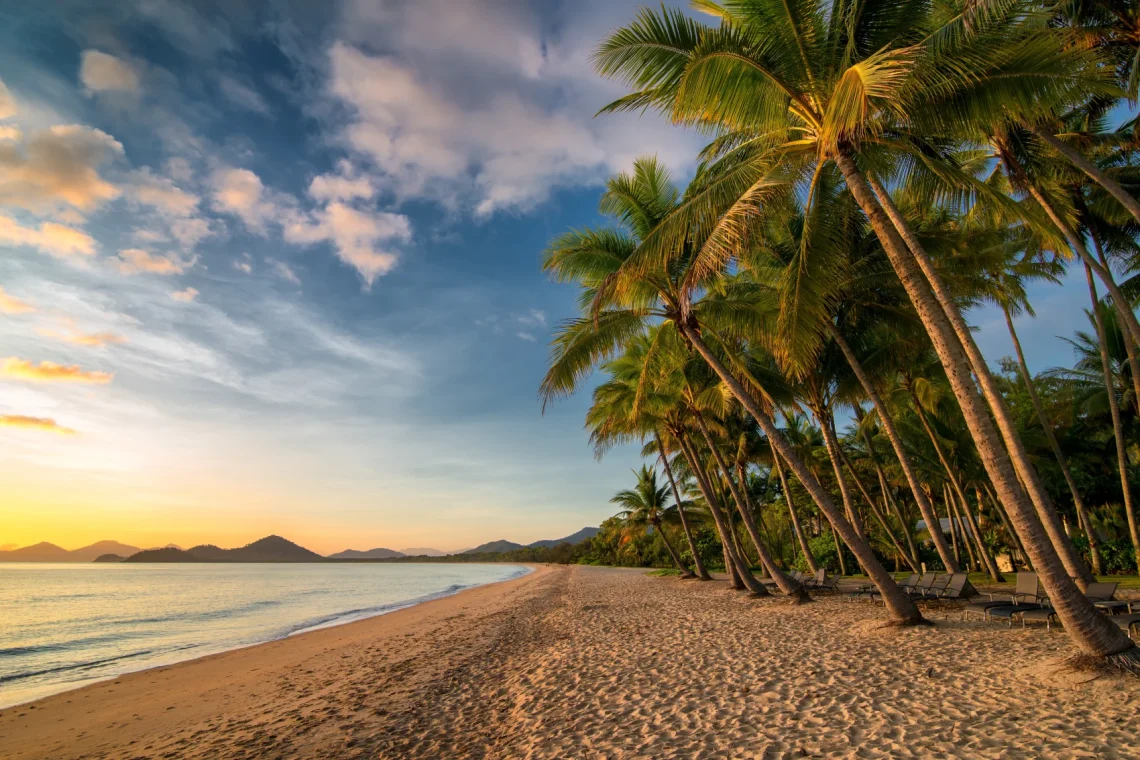 Palm Cove